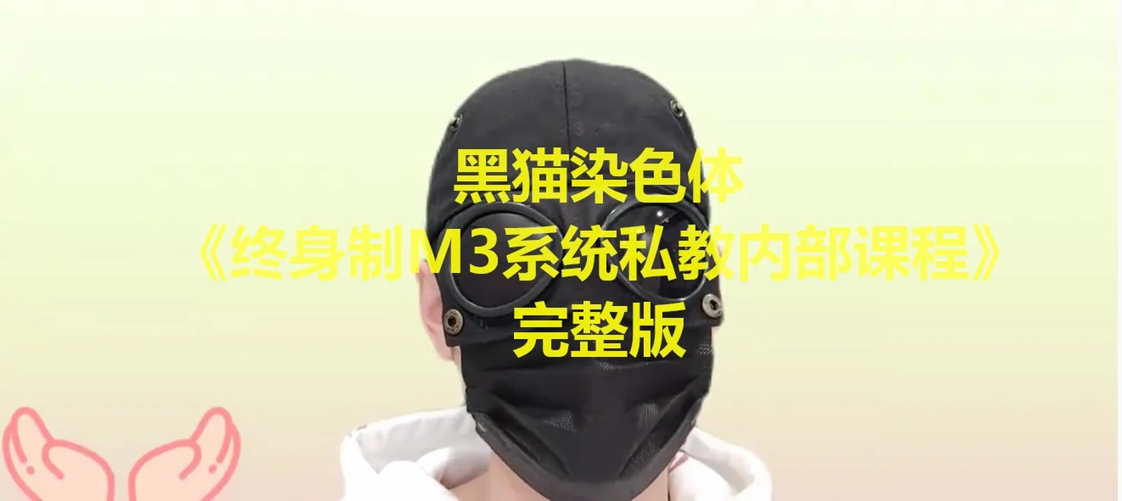 [6.7GB]黑猫染色体《终身制M3系统私教内部课程》-孔雀海-图集网站地址【共享会员账号】