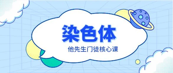 图片[2]-染色体《他先生门徒核心课》-孔雀海-图集网站地址【共享会员账号】