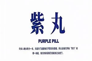锵锵三分钟《紫丸》PDF-孔雀海-图集网站地址【共享会员账号】