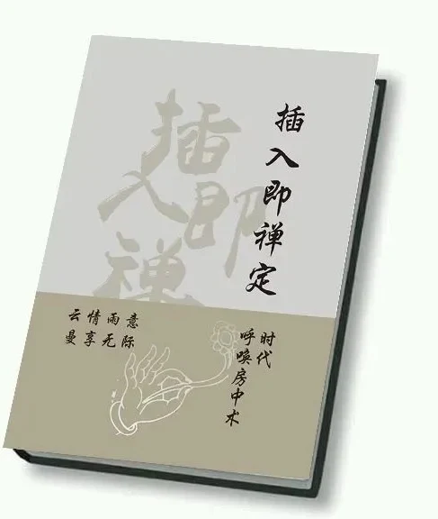 图片[2]-《插入即禅定》PDF电子版/无水印-孔雀海-图集网站地址【共享会员账号】