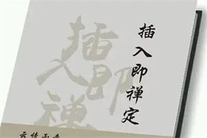 《插入即禅定》PDF电子版/无水印-NRZ内容站-图集网站地址【共享会员账号】
