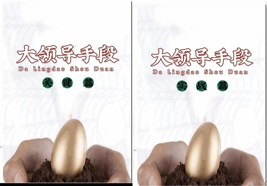 图片[2]-《大领导手段实战篇+关键篇》pdf电子版/无水印-孔雀海-图集网站地址【共享会员账号】