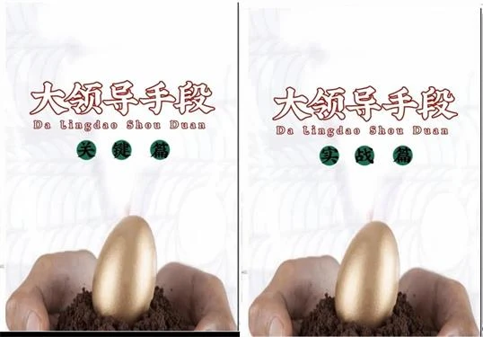 《大领导手段实战篇+关键篇》pdf电子版/无水印-孔雀海-图集网站地址【共享会员账号】