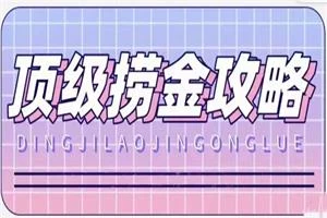 林夕老师《顶级捞金攻略》价值3000-NRZ内容站-图集网站地址【共享会员账号】