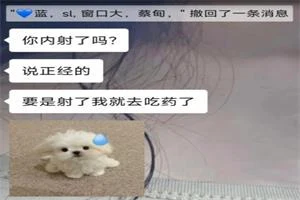 youtube表哥速约教学2025年4月更新-孔雀海-图集网站地址【共享会员账号】