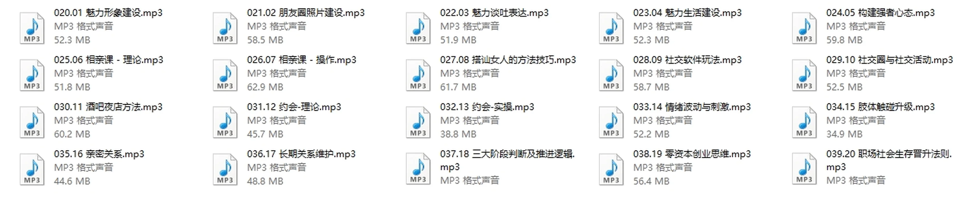 图片[3]-丹青门徒课-魅力工程【新】20节音频-孔雀海-图集网站地址【共享会员账号】